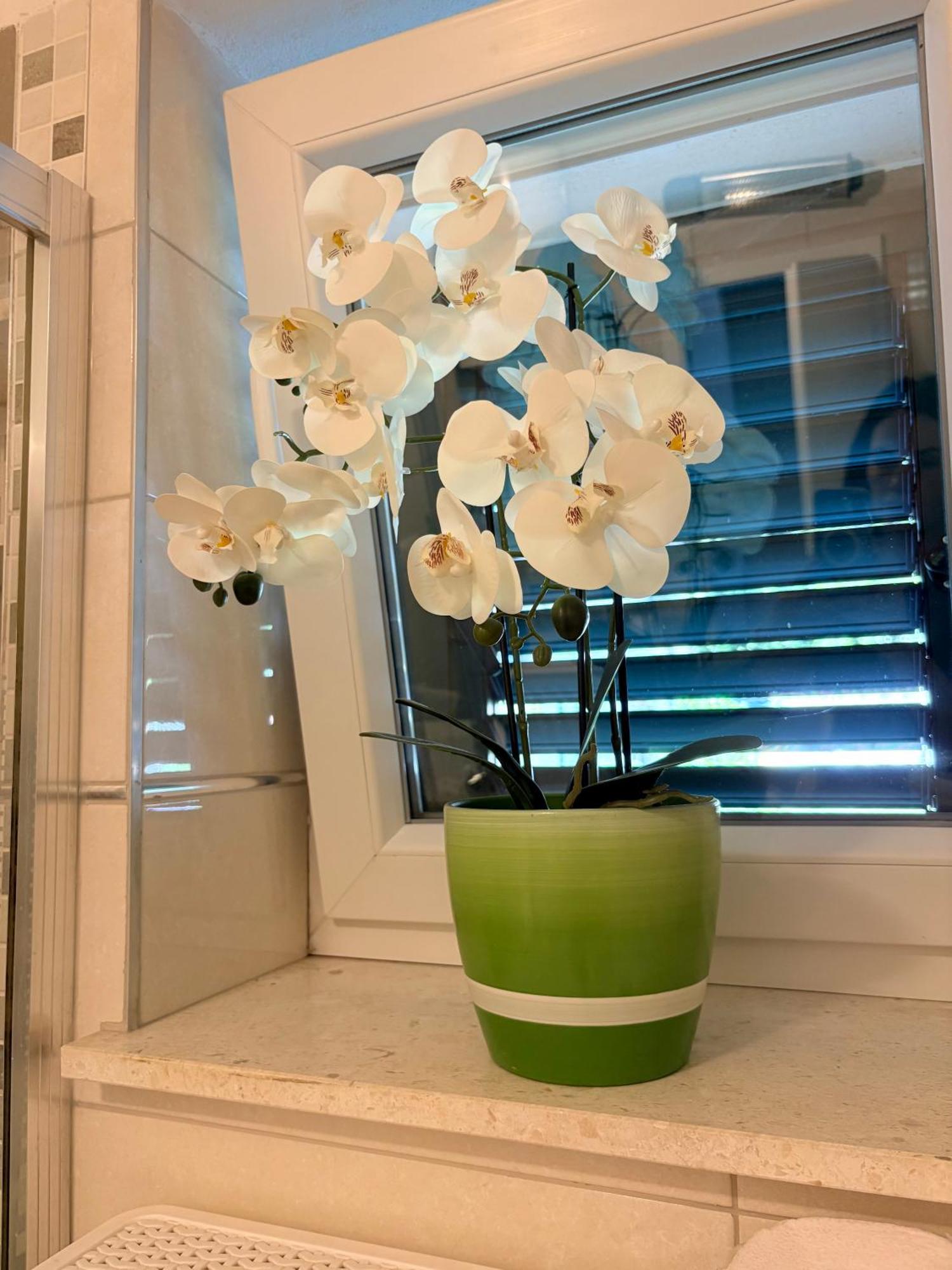 Andelina, Apartman *
